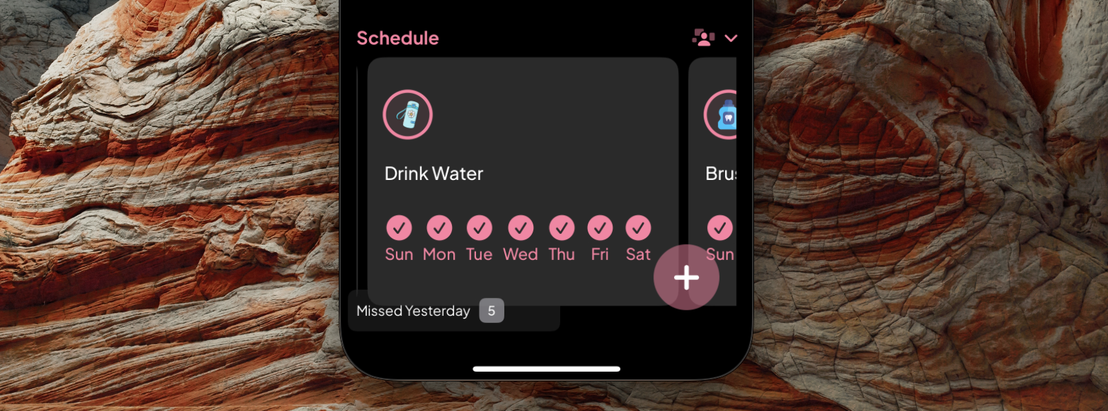 Life Planner Old Habit Schedule