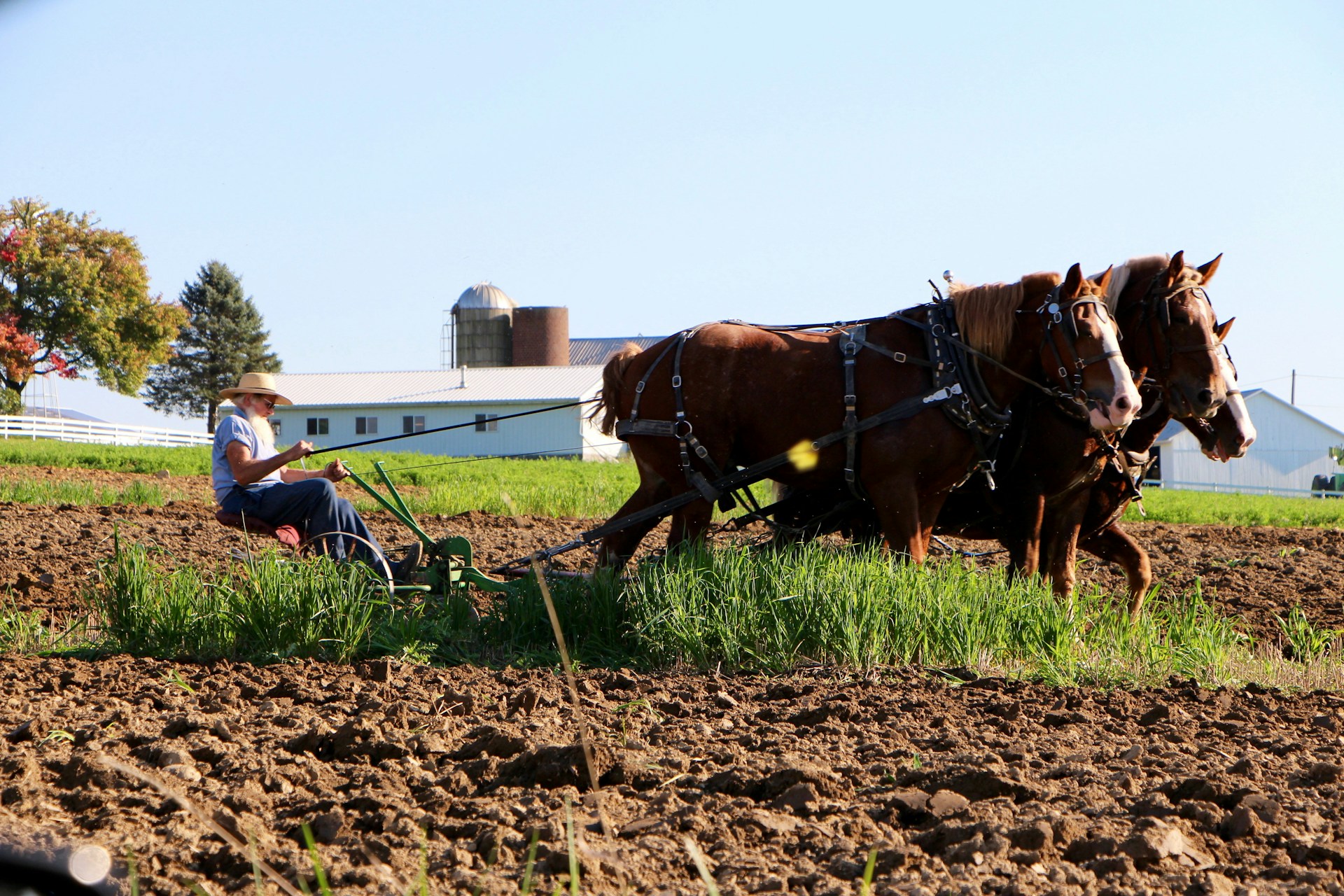 Life Planner Amish People : Life Planner App