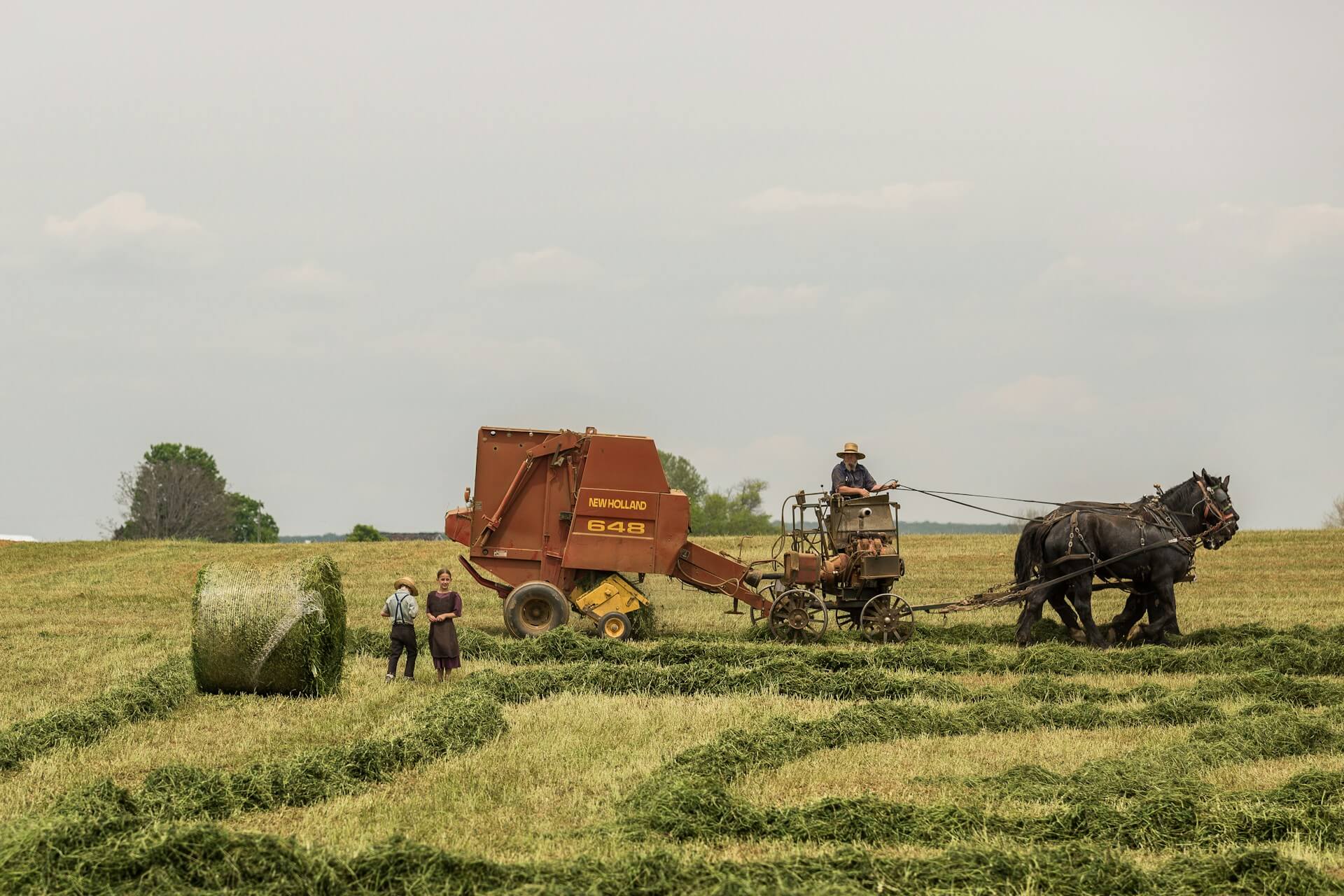 Life Planner Amish People : Life Planner App